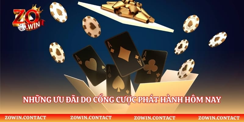 Những ưu đãi do cổng cược phát hành hôm nay